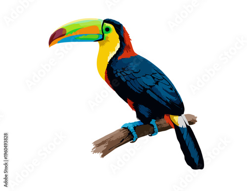Exotic Toucan on Branch: A vibrantly colored toucan perches serenely on a sturdy branch. Showcasing the unique beauty of tropical birds, with its remarkable beak.
