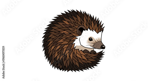 Hedgehog Curled Up in Ball.