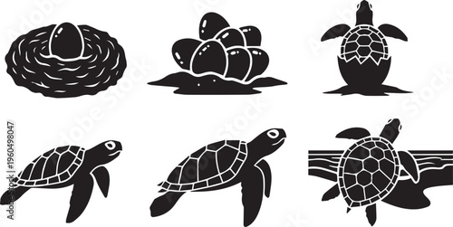 Sea Turtle Life Cycle Icon Set: From Egg to Adult Hatchling Development