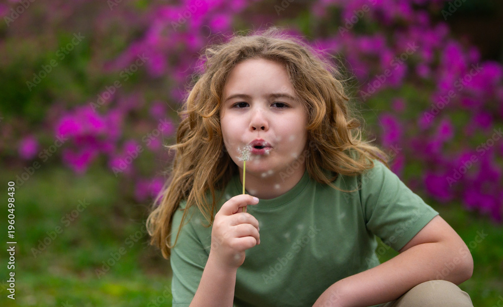 Fototapeta premium Kid blowing dandelion. Carefree childhood mood. Kid blowing dandelion. Nature outdoors park. Kid blowing dandelion. Meadow field background. Kid blowing dandelion.