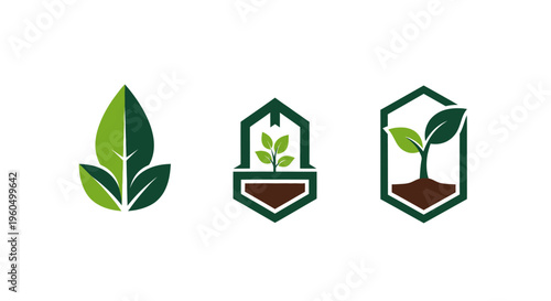 Green Leaf and Sprout Icons Set