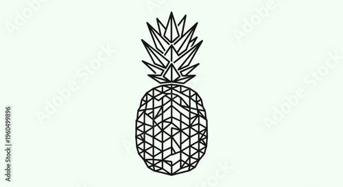Geometric Pineapple Line Art Illustration
