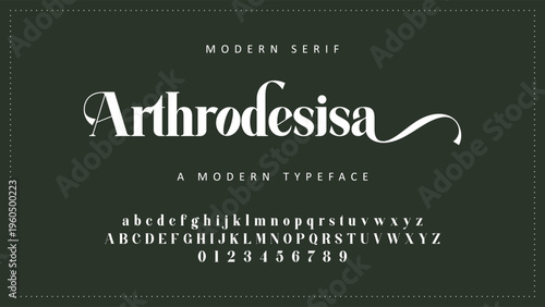 Luxury alphabet letters font and number. Typography elegant wedding classic lettering serif fonts decorative vintage retro concept. vector illustration