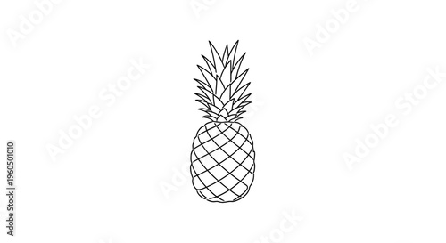 Minimalist Pineapple Outline Icon Vector Illustration on White Background