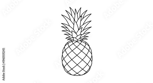 Minimalist Pineapple Outline Icon Vector Illustration