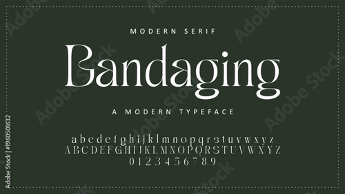 Luxury alphabet letters font and number. Typography elegant wedding classic lettering serif fonts decorative vintage retro concept. vector illustration