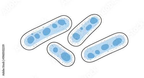 Group of light blue rod-shaped bacteria with internal spots is shown in a clean scientific or medical illustration style.