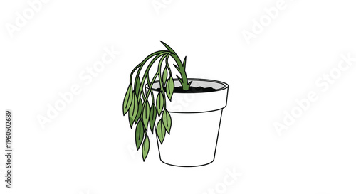 Sad illustration of a wilting green plant with drooping leaves in a white flower pot is isolated on a white background.