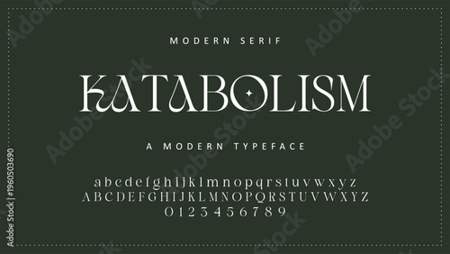 Luxury alphabet letters font and number. Typography elegant wedding classic lettering serif fonts decorative vintage retro concept. vector illustration