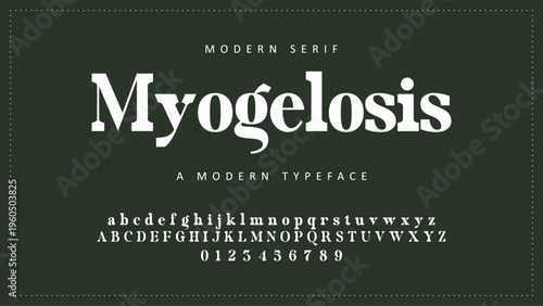 Luxury alphabet letters font and number. Typography elegant wedding classic lettering serif fonts decorative vintage retro concept. vector illustration