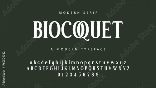 Luxury alphabet letters font and number. Typography elegant wedding classic lettering serif fonts decorative vintage retro concept. vector illustration