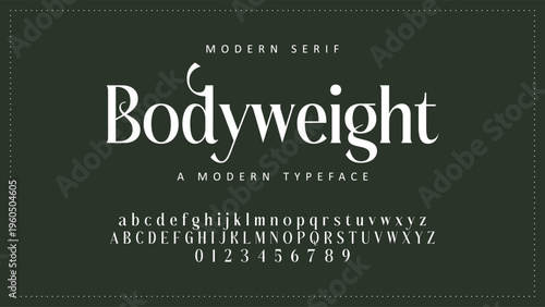Luxury alphabet letters font and number. Typography elegant wedding classic lettering serif fonts decorative vintage retro concept. vector illustration