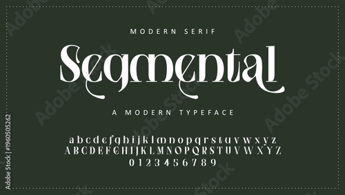 Luxury alphabet letters font and number. Typography elegant wedding classic lettering serif fonts decorative vintage retro concept. vector illustration