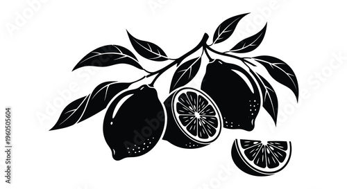 A detailed illustration showcases a branch with lemons including a halved fruit and slices in silhouette high quality
