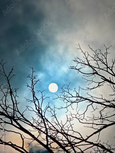 Sun surrounded by cinematic sky
