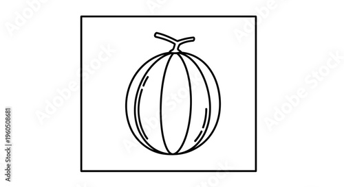 Simple Line Drawing of a Cantaloupe Melon on White Background