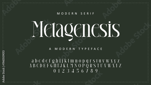 Elegant ligature alphabet letters font logo. Typography luxury classic lettering serif fonts decorative wedding vintage retro logos, design for fashion,beauty shop and brand . vector illustration