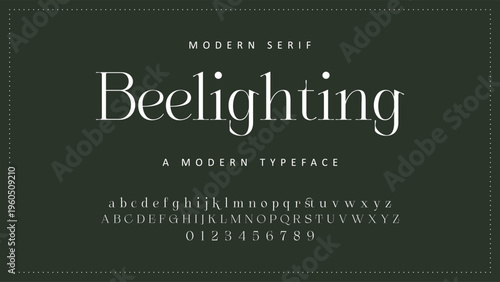 Elegant ligature alphabet letters font logo. Typography luxury classic lettering serif fonts decorative wedding vintage retro logos, design for fashion,beauty shop and brand . vector illustration