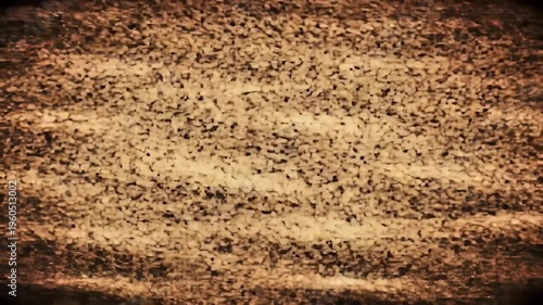 A close-up view of a textured brown surface with a rough sandpaper-like appearance and a darker border