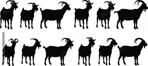 Large set of black goat silhouettes in various poses including standing and walking isolated on white background for farm design,