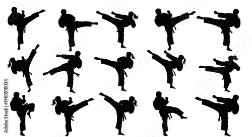 Martial Arts Silhouette Collection: Dynamic Karate Kicks and Punches