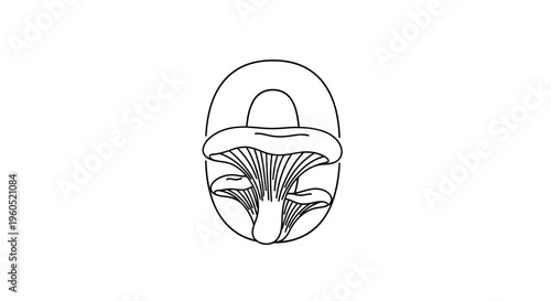 Stylized minimalist outline of fresh edible fungi in an elegant organic composition, clean design