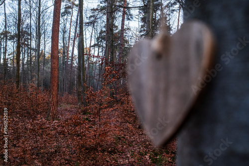 Herz im Friedwald