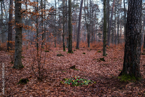 Im Friedwald