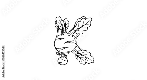 Minimalist black and white line drawing of the letter K crafted from fresh kohlrabi vegetables