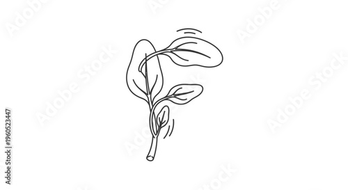 Minimalist line art illustration of a healthy plant sprout signifying organic growth and natural