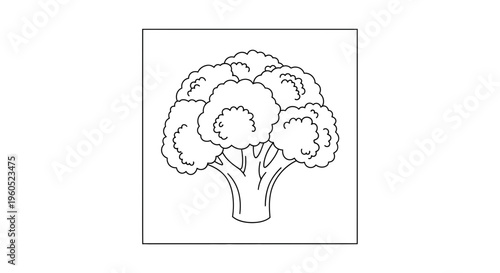 Minimalist black outline drawing of a healthy vegetable florets perfect for a children's coloring