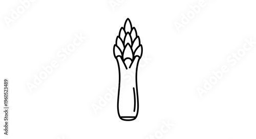 Minimalist black outline drawing of an asparagus spear depicting a fresh healthy vegetable
