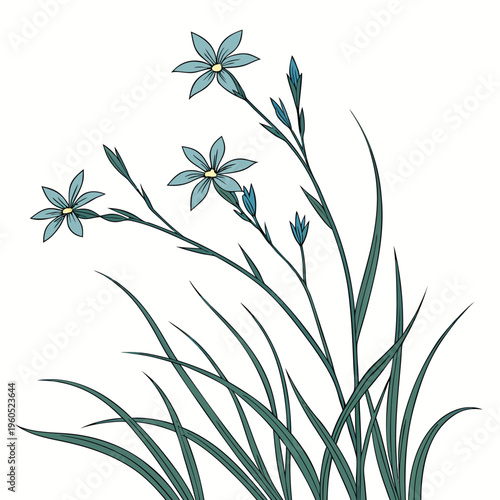 stiff blue eyed grass vector design