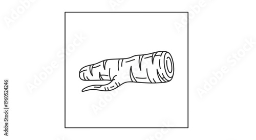 Stylized monochrome sketch of a freshly harvested garden carrot root, perfect for minimalist food