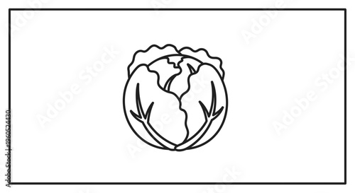 Simple monochrome line art drawing of a fresh green cabbage head a healthy vegetable icon design