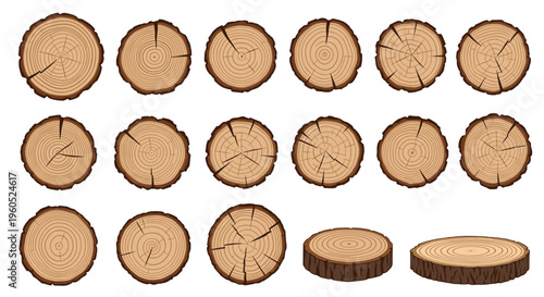 Large collection of diverse wooden log cross sections showing detailed tree rings, cracks, and bark textures in various sizes and shapes.