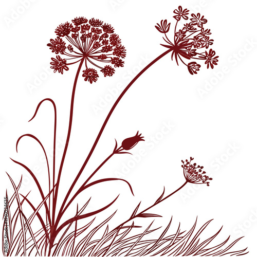 sea thrift red  flower silhouette on white 