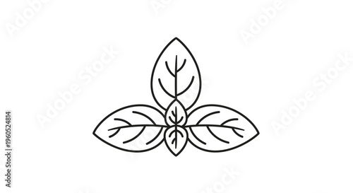 Stylized linear depiction of fresh aromatic herb leaves for culinary design minimalist organic
