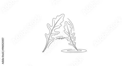 Minimalist single line art illustration of a stylized letter A formed by fresh green arugula leaves
