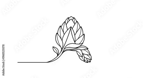 Continuous line art illustration of a hop plant cone with leaves minimalist botanical vector design