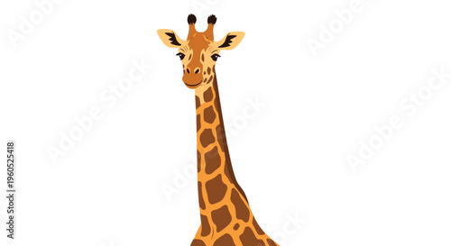 Close up illustration of a giraffe head and long neck showing detailed spots against a clean white background for nature projects.