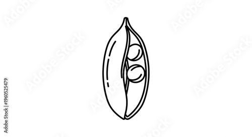 Minimalist black and white outline drawing of an open pea pod containing two fresh peas inside