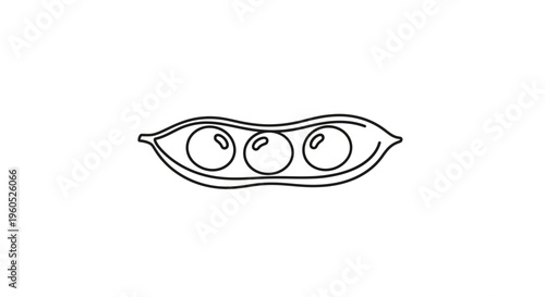 Minimalist black and white line art illustration of a fresh pea pod with three round green peas