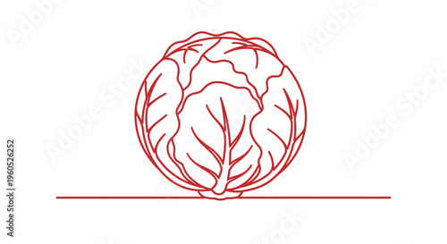 Stylized red linear depiction of an entire crisp cabbage, emphasizing organic health and simple form