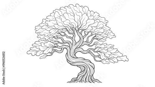 Detailed black and white line drawing of a mature bonsai tree with twisted trunk and thick foliage for nature and meditation themes.