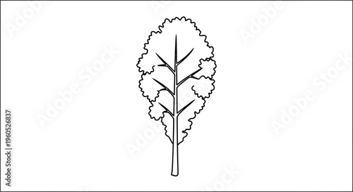 Detailed black outline illustration of a growing deciduous tree with leafy canopy and visible