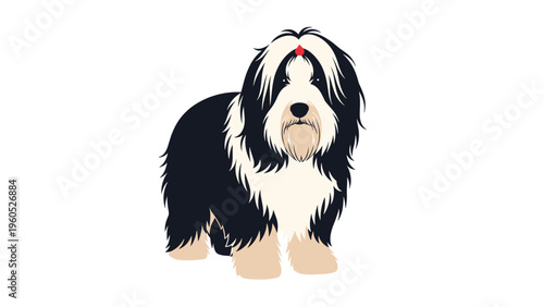 Fluffy long-haired dog breed like an old english sheepdog stands on a white background for pet grooming and animal care concepts.