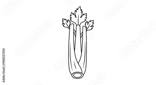 Minimalist line art illustration of fresh green celery for healthy food and diet concepts