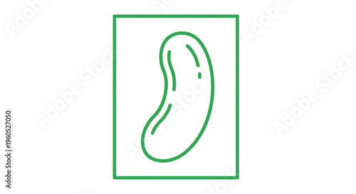 Green outline simple bean icon within a rectangular frame minimalist graphic design element