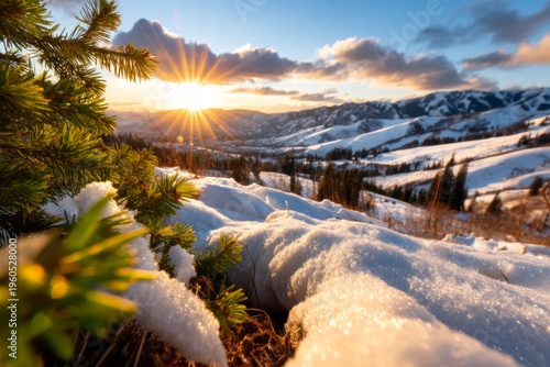 Wallpaper Mural Tranquil Sunset Over Isolated Evergreen Mountain Basin in Late Afternoon Light Torontodigital.ca